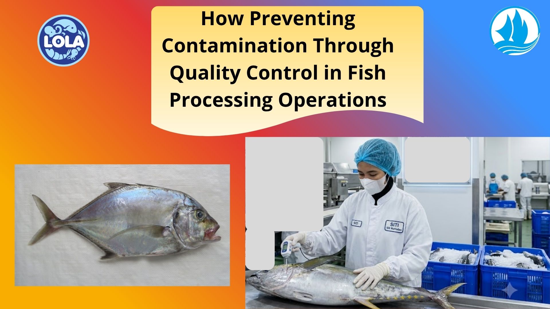  How Preventing Contamination Through Quality Control in Fish Processing Operations